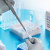 OMS (finalmente) Admite Que Os Testes PCR Criam Falsos Positivos