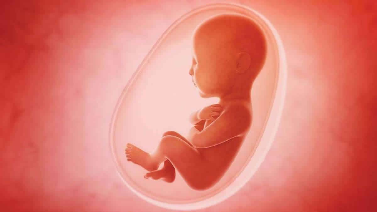 Você Não Pode Acreditar Nos Direitos Humanos E Apoiar A Matança De Crianças Durante O Aborto