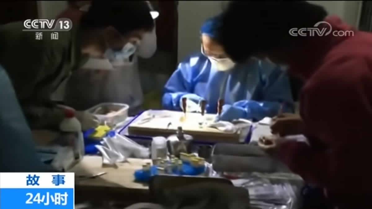 Vídeo Mostra Cientistas Do Laboratório De Wuhan Admitindo Ter Sido Mordidos Por Morcegos