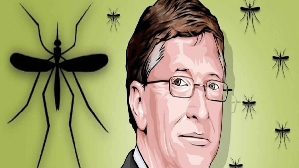 Bill Gates Quer Liberar Mosquitos Geneticamente Modificados Para Injetar Vacinas Em Você