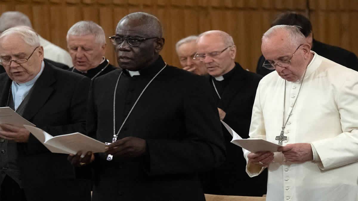 Papa Francisco Remove Conservador Africano Do Vaticano Post