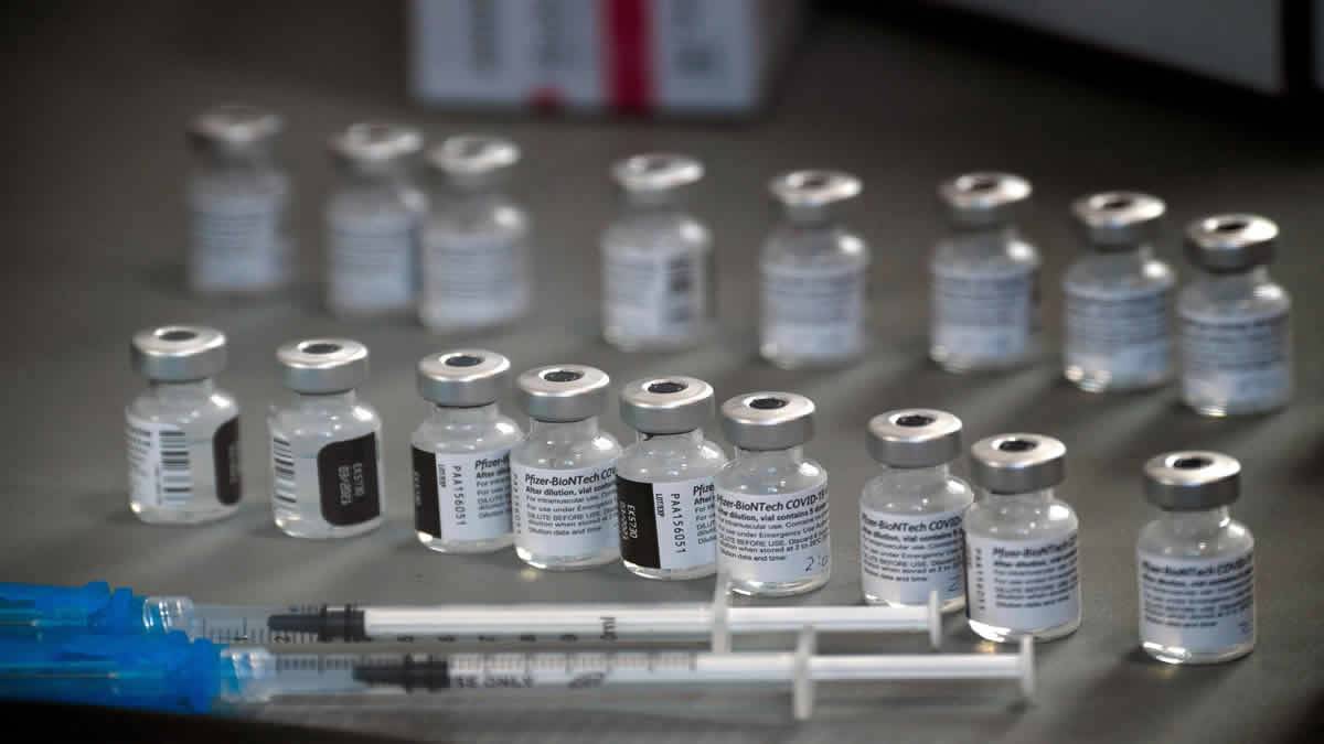 Pfizer Iniciará Ensaio Clínico Da Vacina Covid Em Mulheres Grávidas