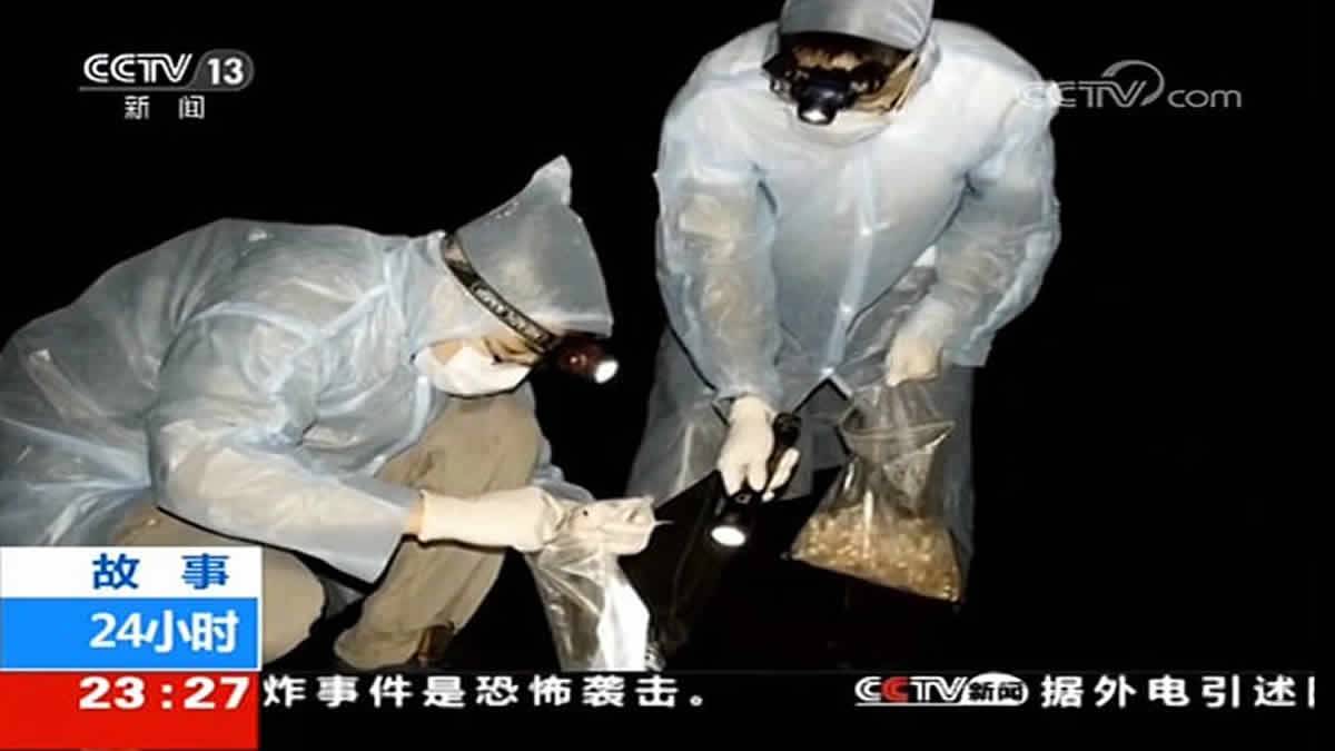 Wuhan Lab Obteve Patente De Gaiolas De Morcego Para Experimentos De Vírus Secretos Meses Antes Do Surto De COVID 19