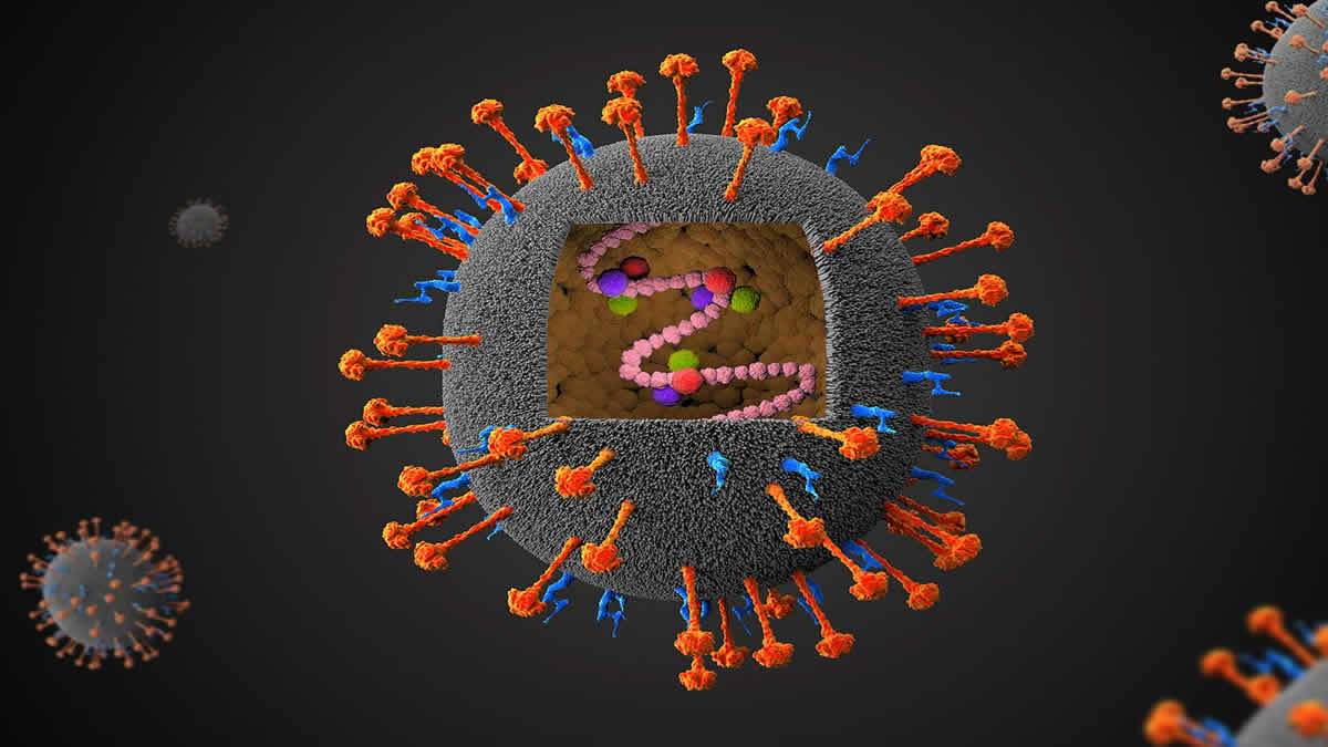 Guupo De Bill Gates Alerta Sobre 16 Doenças Que Podem Desencadear Uma Pandemia Após Covid