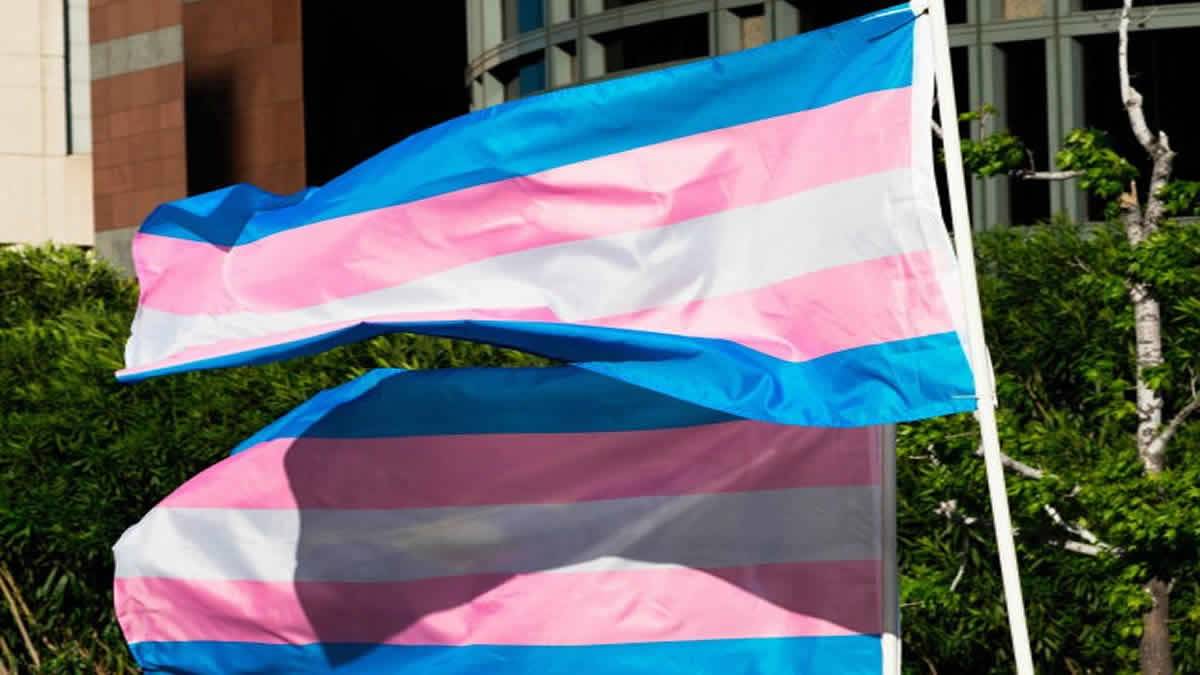 Joe Biden Exibe Bandeiras Para Transgêneros Na Casa Branca Para Comemorar O 'Dia Da Visibilidade'