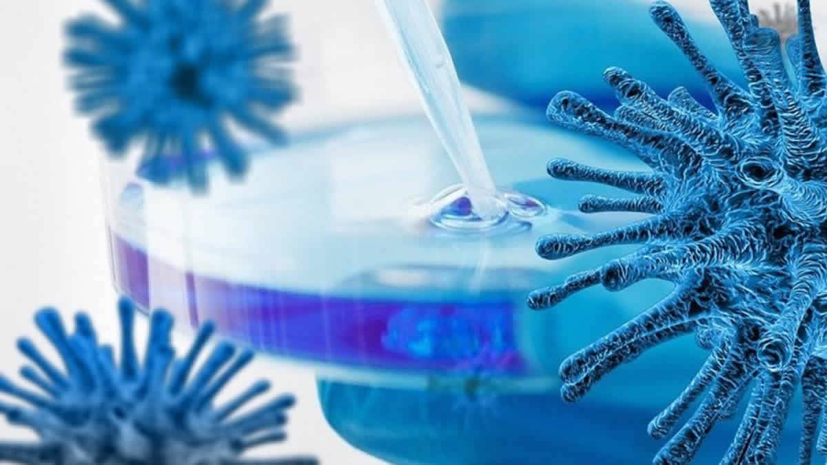 Novo Estudo Descobriu Que Variantes Do Coronavírus Provavelmente Irão Evoluir, Escapar Da Atual Geração De Vacinas