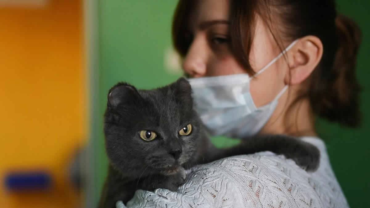 O Criador Da Vacina Russa Covid Afirma Que Os Animais De Estimação São Uma Ameaça
