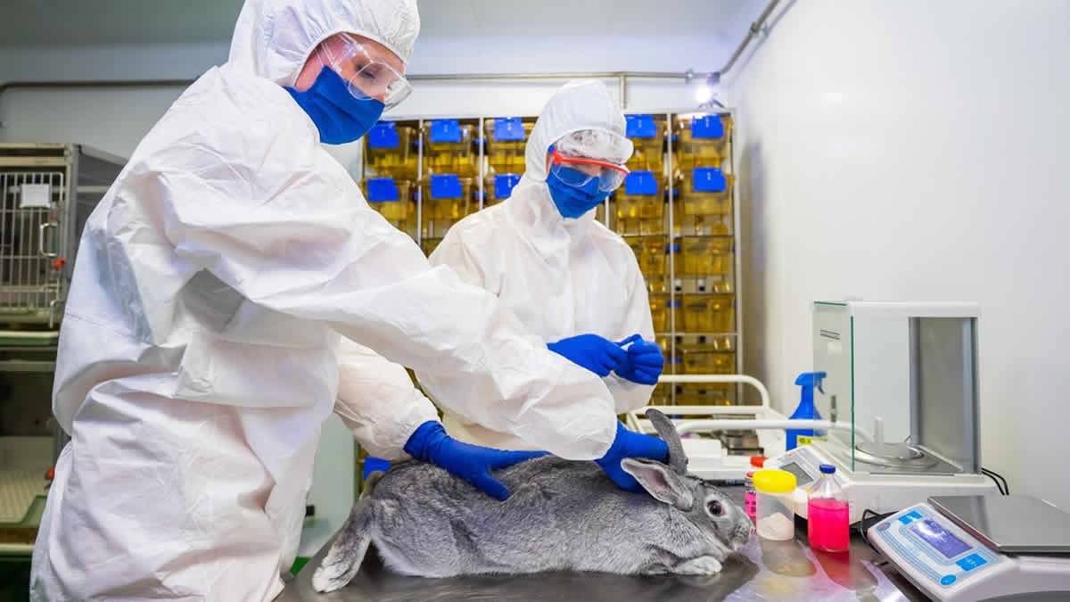 Rússia Registra A Primeira Vacina Contra COVID 19 Para Animais