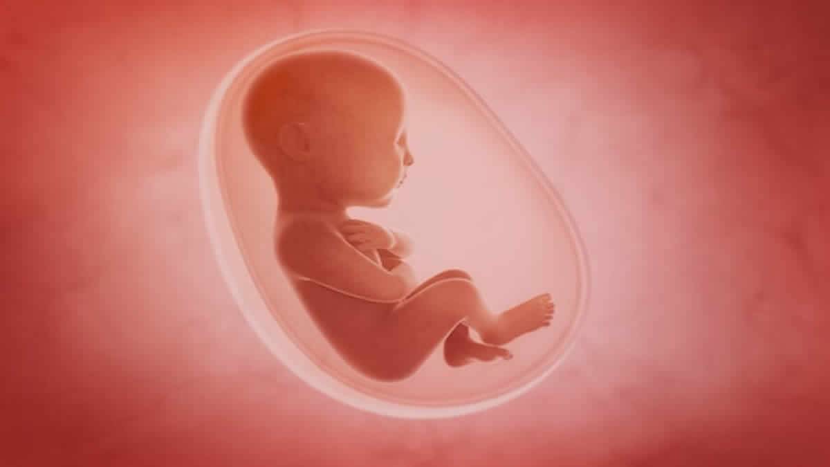 EUA: Suprema Corte forma maioria para derrubar lei do aborto, diz site