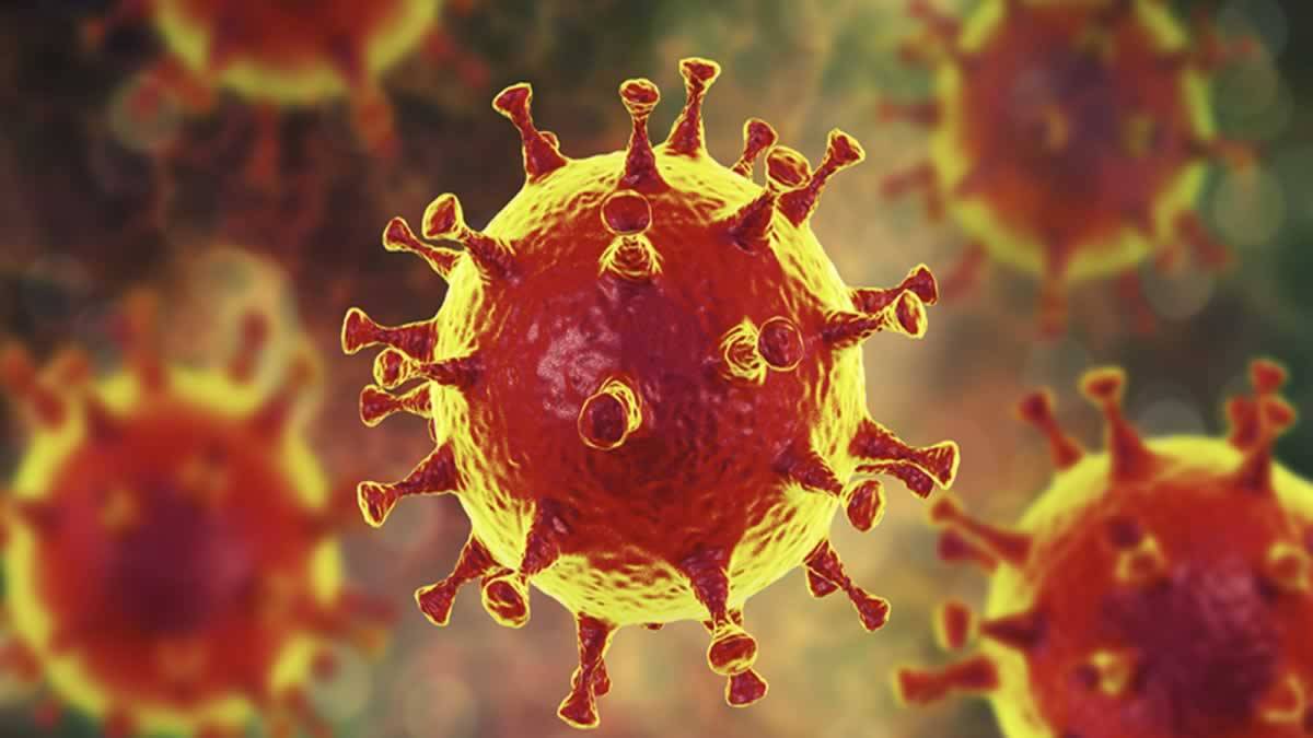 Butantan Confirma Caso Da ‘variante Sueca’ Do Coronavírus Em São Paulo