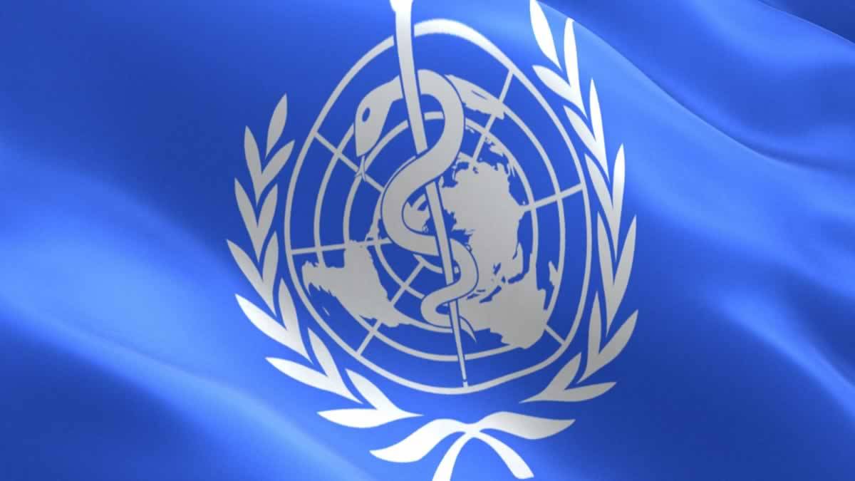 Relatório Da ONU Pressiona Governo Global A Prevenir Futuras Pandemias