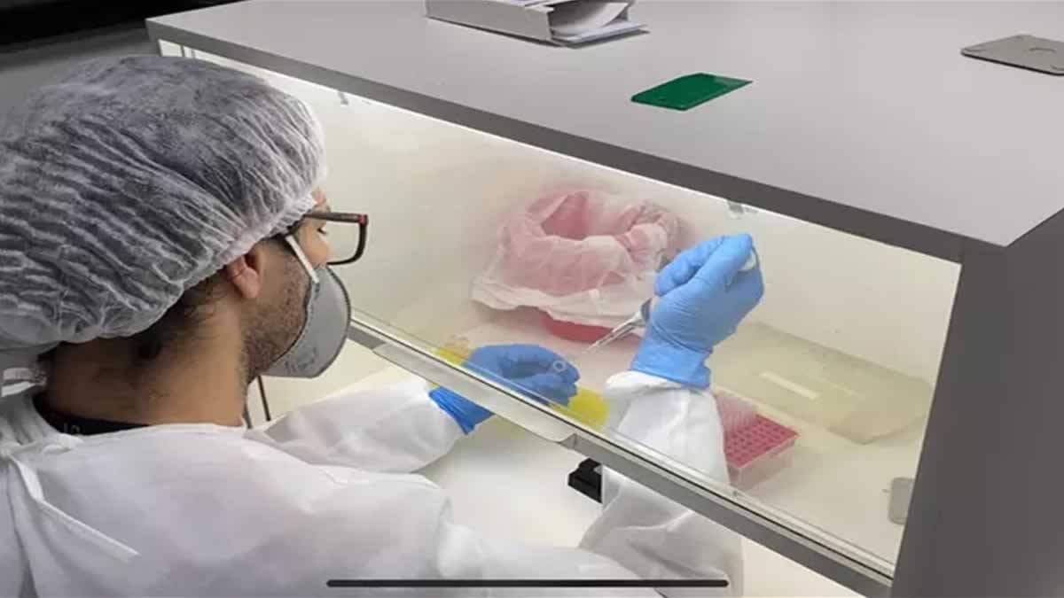 UFMG Cria Teste Inédito Usando Urina Para Dispensar Exame De Sangue E PCR