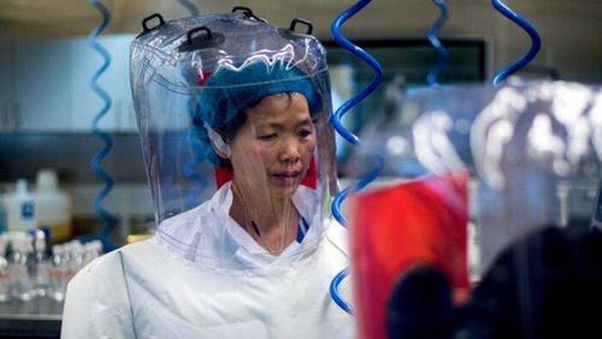 Uma Mulher De 61 Anos Que Mora Perto Do Laboratório De Wuhan Pode Ter Sido A Paciente Zero
