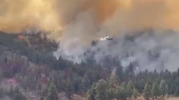 Incêndio Florestal Nos EUA Já Devastou Quase 36,4 Mil Hectares