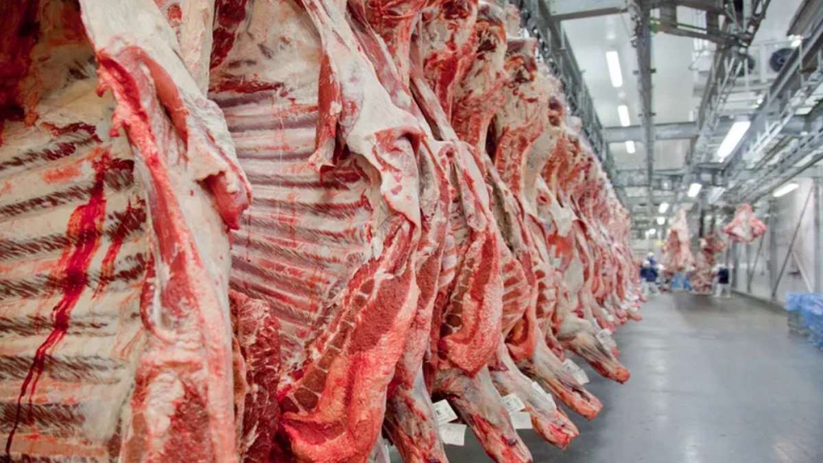 China Não Compra Carne Brasileira Desde Setembro