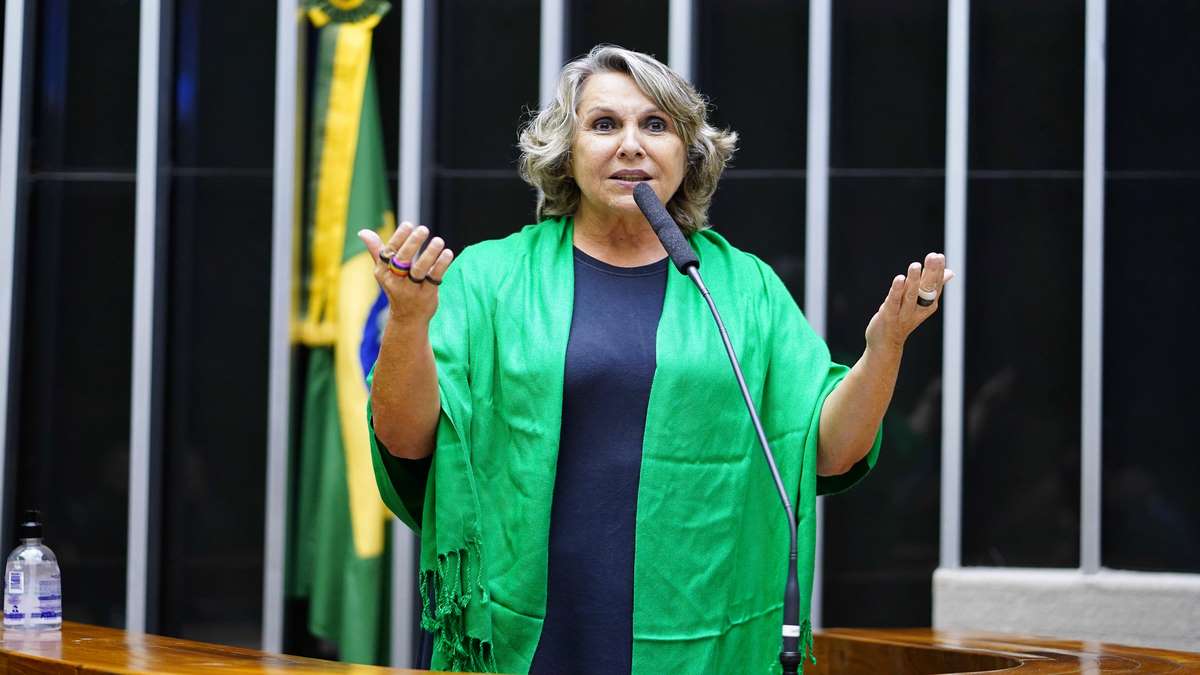 Deputada Erika Kokay Foto Câmara Dos DeputadosPablo Valadares