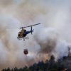 Incêndio Florestal Em Portugal Foto MIGUEL PEREIRA DA SILVAEFE