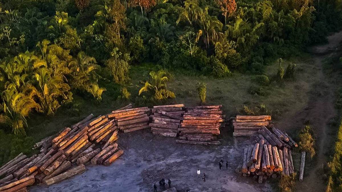 Governo Do Pará Vem Intensificando O Combate Ao Desmatamento Ilegal. Nos últimos Cinco Dias, Equipes Da Secretaria De Estado De Meio Ambiente E Sustentabilidade