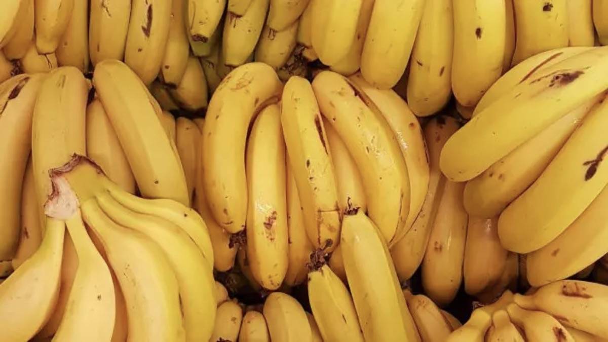 Cachos De Banana