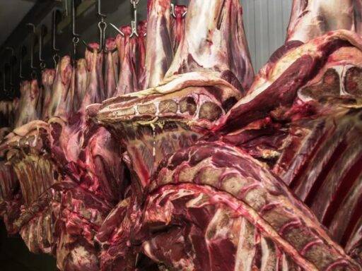 Carne Fresca,Açougues, Frigoríficos, Alimento