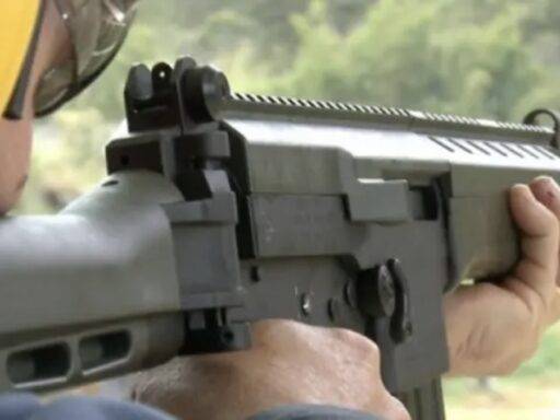 Dirigente Da Empresa Considera Que Marinha Deveria Dar Prioridade Para Compra De Armas Brasileiras