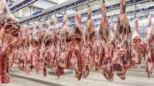 Fábrica De Carne Bovina Fechará Nos EUA