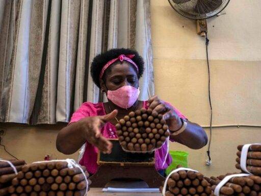 6lcqyv9whuonsjittxtvtdwev