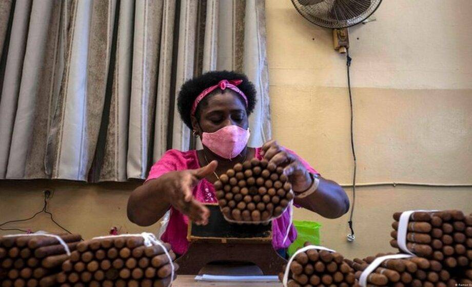 6lcqyv9whuonsjittxtvtdwev