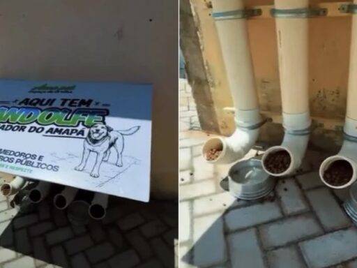 Randolfe Rodrigues Inaugurou Um Comedouro Para Cães