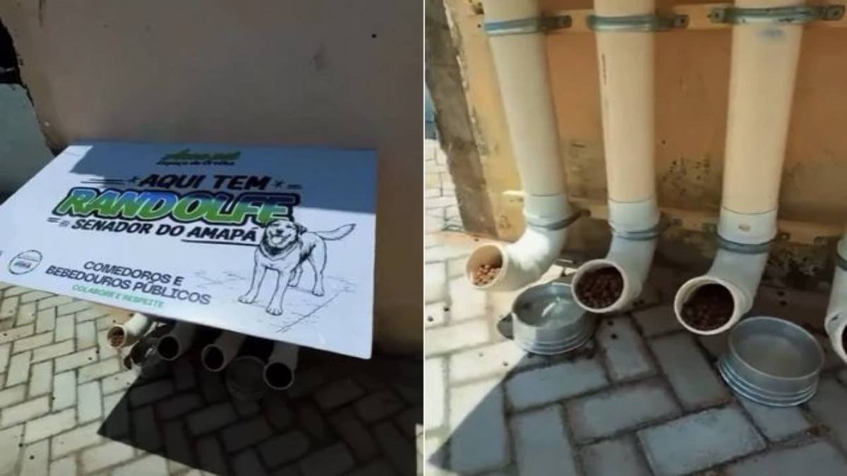 Randolfe Rodrigues Inaugurou Um Comedouro Para Cães