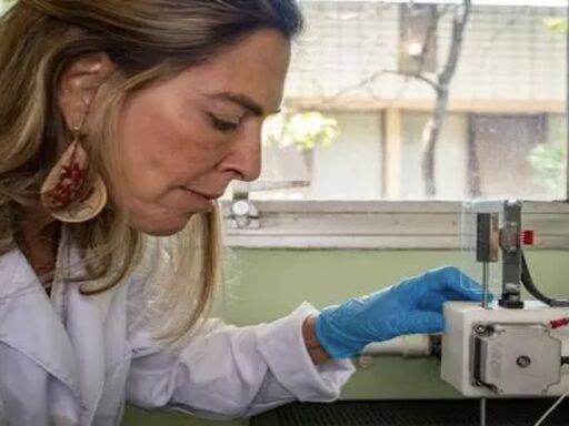 Tatiana Coelho De Sampaio, Pesquisadora Responsável Pelo Desenvolvimento Da Polilaminina