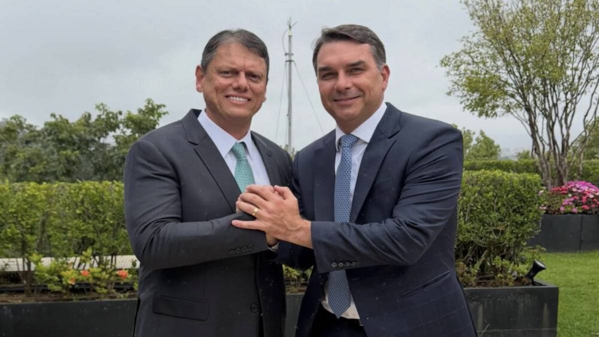Tarcísio E Flavio Bolsonaro