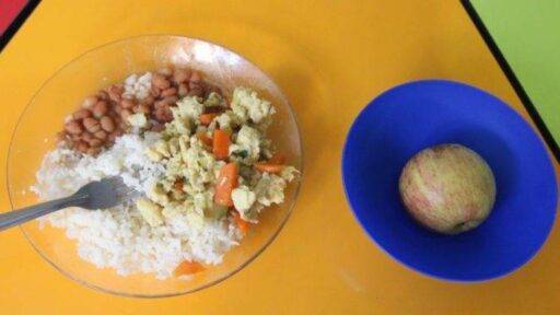 Auditoria revela acúmulo de R$ 28 bilhões sem fiscalização no programa de merenda escolar