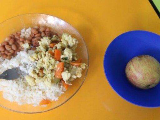 Auditoria revela acúmulo de R$ 28 bilhões sem fiscalização no programa de merenda escolar