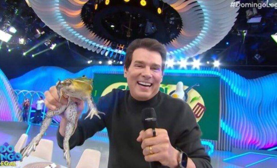 Celso Portiolli e SBT são investigados por maus-tratos contra rã no programa Domingo Legal