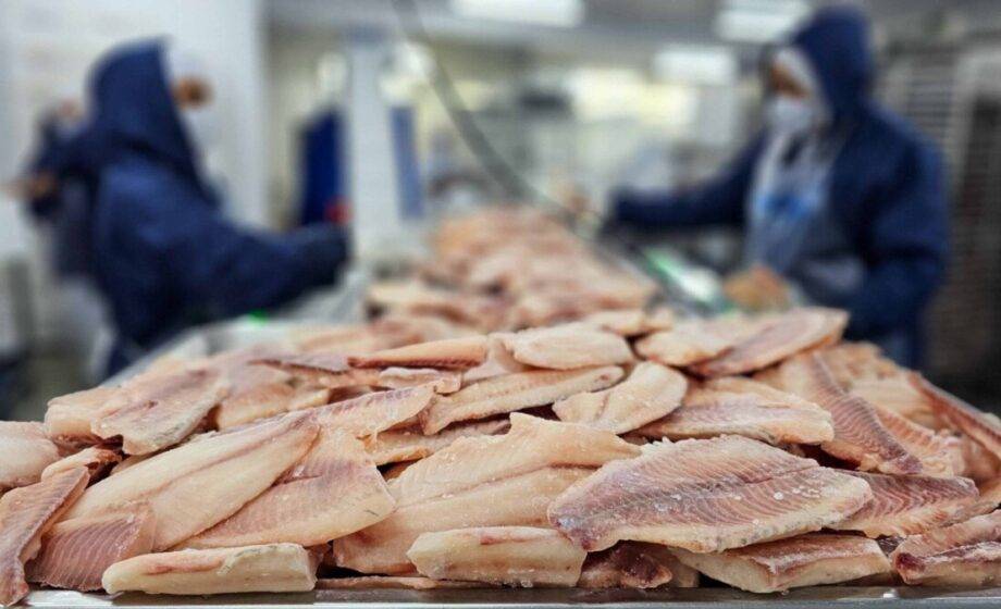 Governo de Minas Gerais eleva tributação sobre tilápia importada e aquece mercado local
