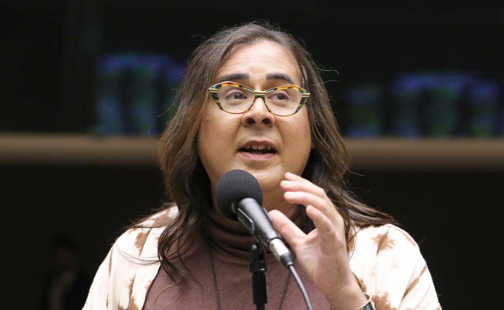 PSOL apresenta projeto para banir armadilhas adesivas contra roedores no Brasil