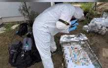 Polícia da Polônia encontra 34 fetos enterrados em jardim e prende médica patologista